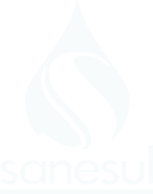 Sanesul